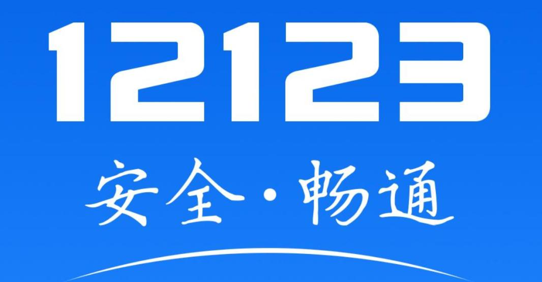如何查违章车辆查询-有驾 如何查违章车辆查询-有驾