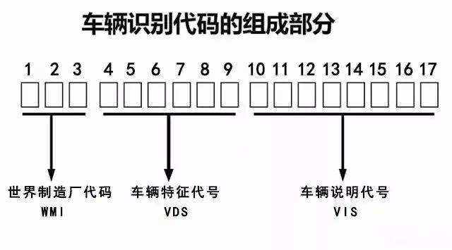 甲壳虫车架号在哪里？-有驾