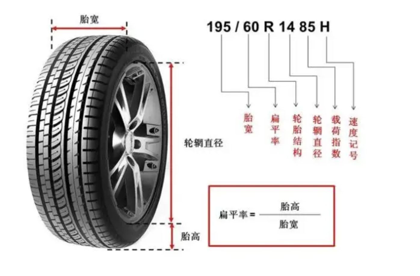 轮胎构造有哪些？-有驾