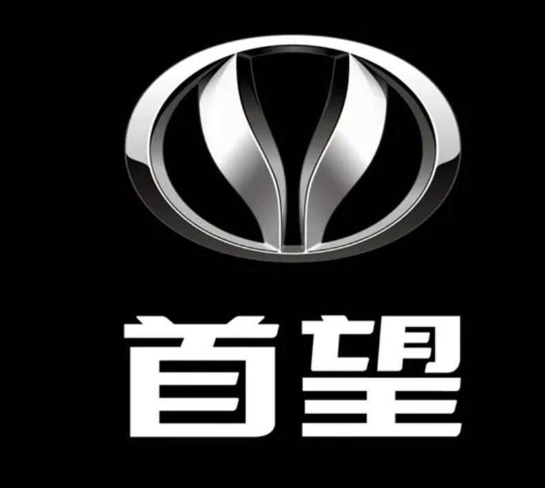 h标志是什么牌子的车? -有驾