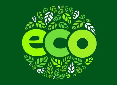 eco是什么意思？-有驾