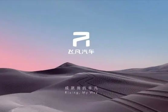 r是什么牌子的车-有驾