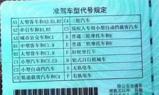 c1e是什么驾照-有驾