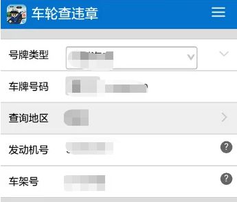 武汉交通违章多久能查-有驾
