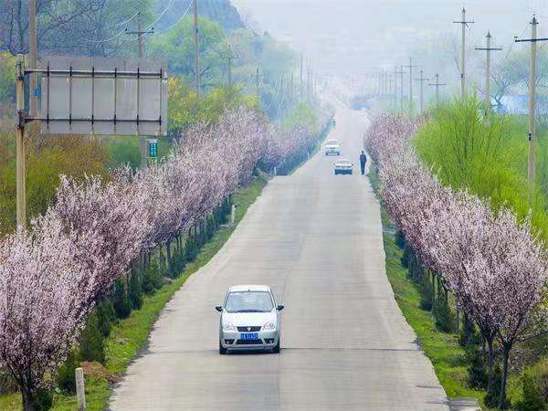 乡村道路最高时速多少公里-有驾