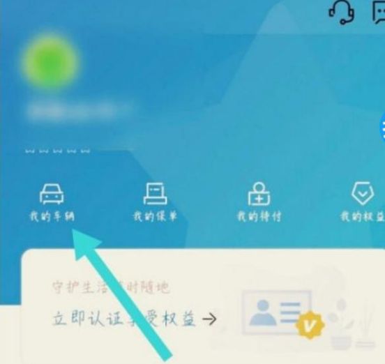 车旺大卡删除车辆怎么删-有驾