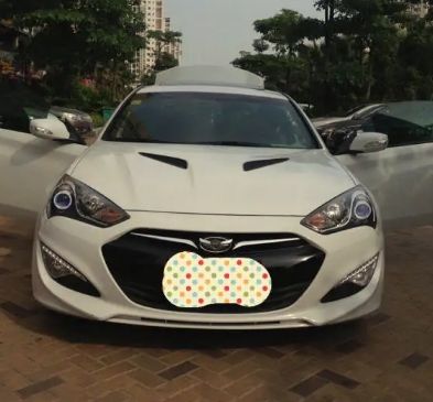有翅膀的车标是什么车-有驾 有翅膀的车标是什么车-有驾
