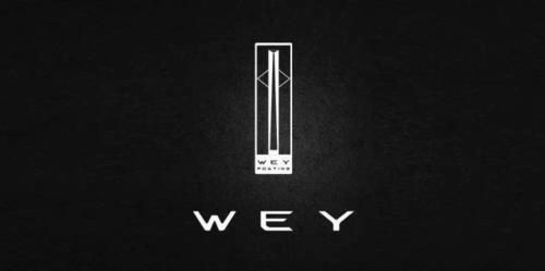 一个括号中间一竖是什么车标-有驾