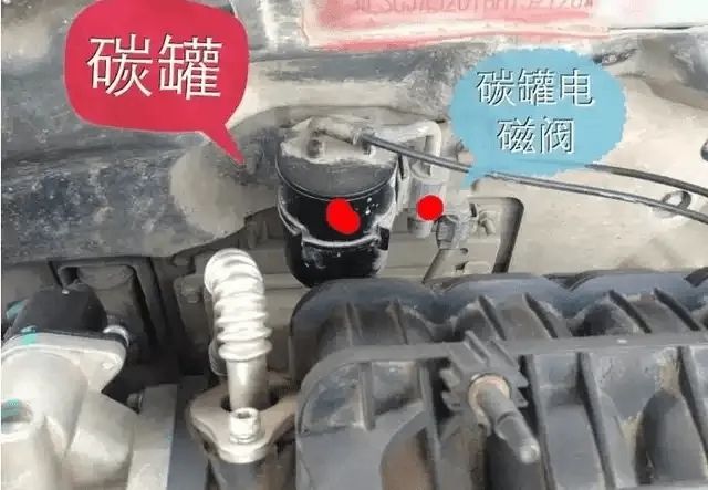 车里有一股汽油味是怎么回事-有驾
