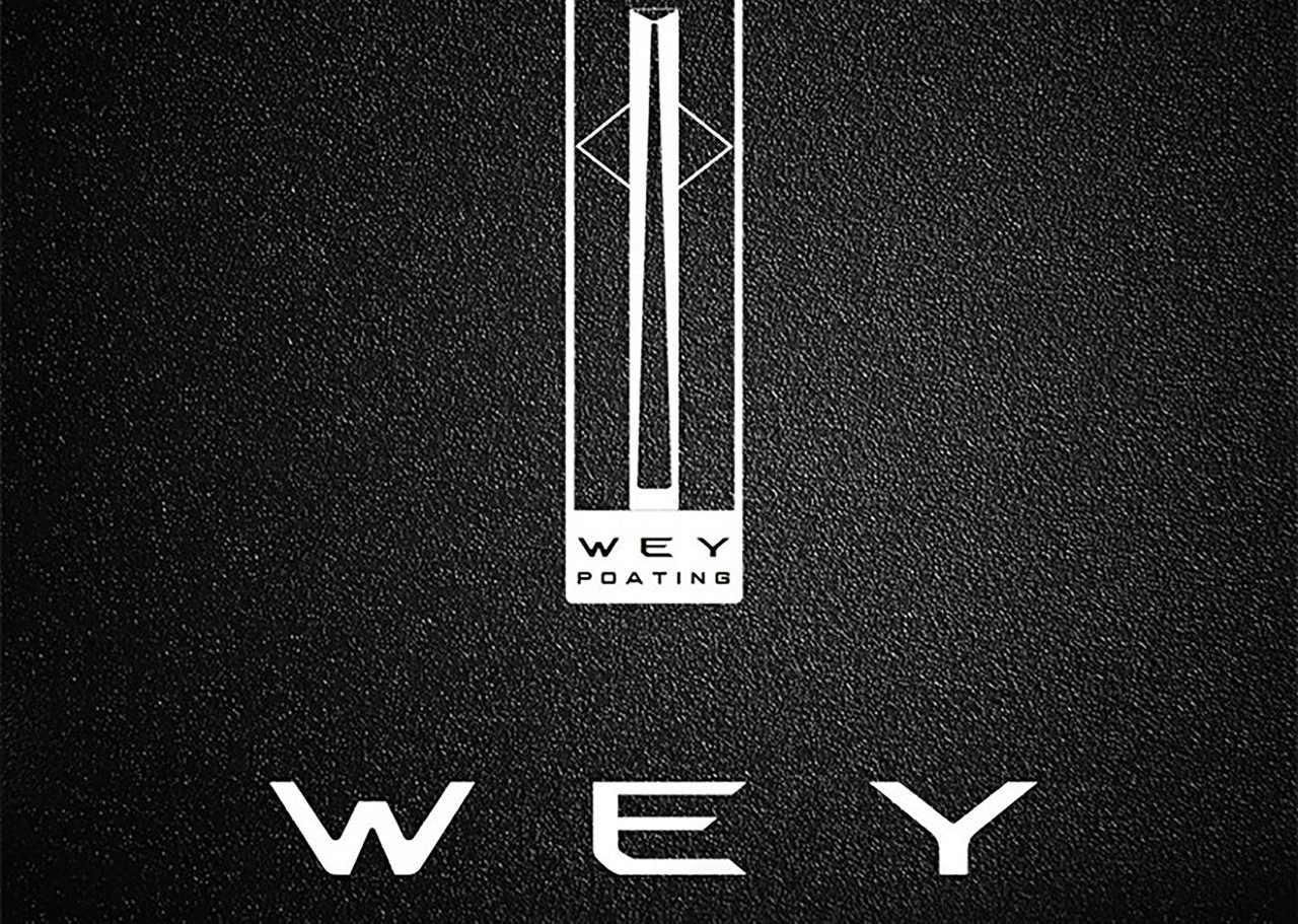 车标竖条是什么牌子-有驾