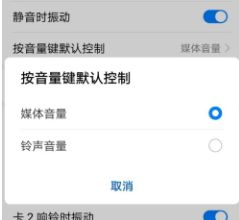 大众朗逸蓝牙连接上没声音是怎么回事-有驾 大众朗逸蓝牙连接上没声音是怎么回事-有驾