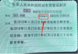驾驶证编号怎么查-有驾 驾驶证编号怎么查-有驾