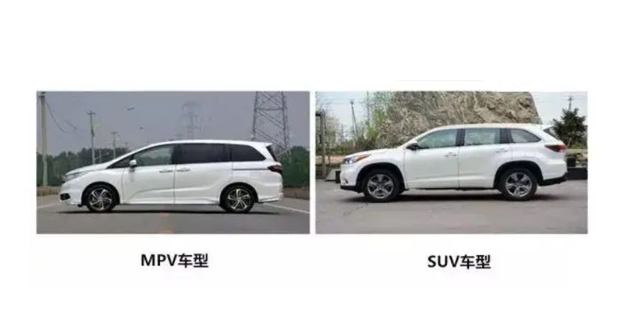 mpv是指什么车-有驾