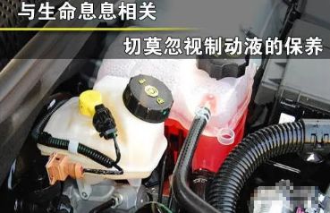 秦plusdmi保养-有驾 秦plusdmi保养-有驾