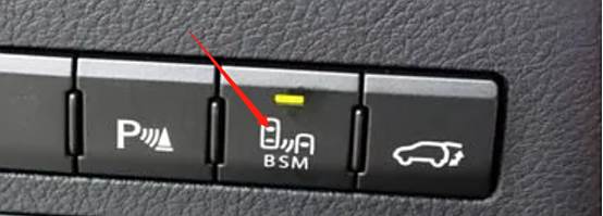 汽车bsm是甚么意思-有驾