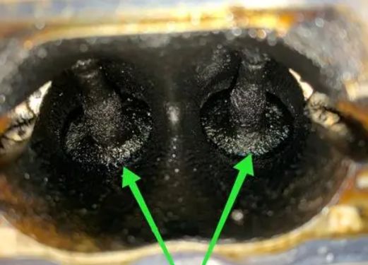 大众汽车epc灯亮什么意思-有驾 大众汽车epc灯亮什么意思-有驾