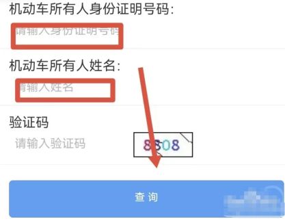 无证驾驶怎么查自己违章记录-有驾 无证驾驶怎么查自己违章记录-有驾