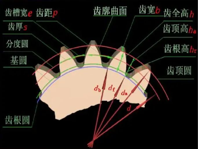 齿轮齿数的选择原则？-有驾