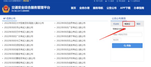 驾驶证吊销怎么查询-有驾 驾驶证吊销怎么查询-有驾