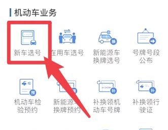 网上选车牌号流程交管12123-有驾 网上选车牌号流程交管12123-有驾