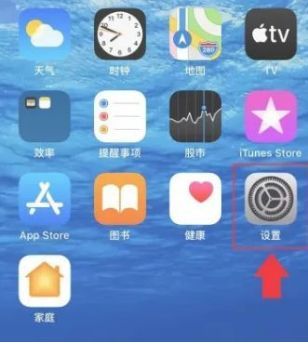 通用里面没有carplay-有驾