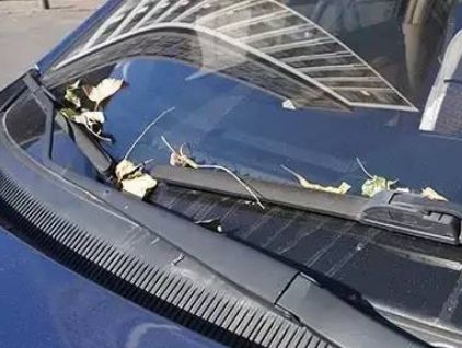 雨刷不能动了怎么回事-有驾 雨刷不能动了怎么回事-有驾