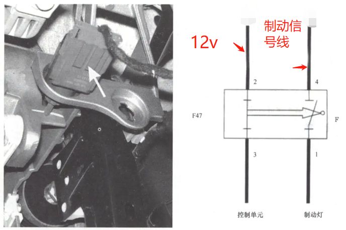 四线刹车灯开关分别是什么线-有驾