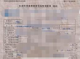 在外地买车可以办理当地牌照吗-有驾