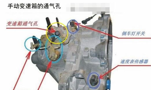 变速箱通气孔位置在哪-有驾