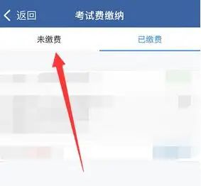 补考费可以在12123上交吗-有驾