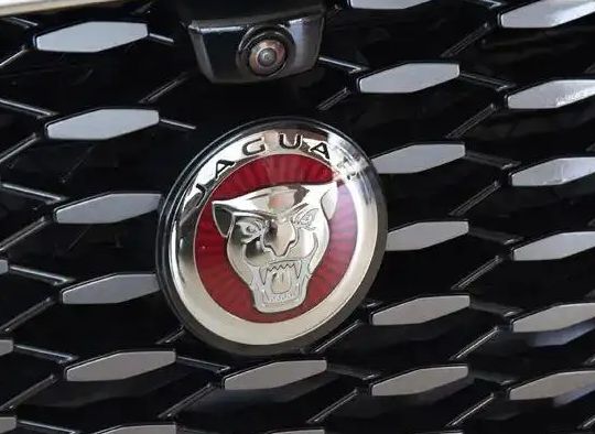 上面有个豹子是什么车-有驾