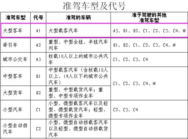 a1是什么驾照吗-有驾