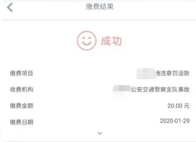 网上处理车辆违章如何处理-有驾 网上处理车辆违章如何处理-有驾