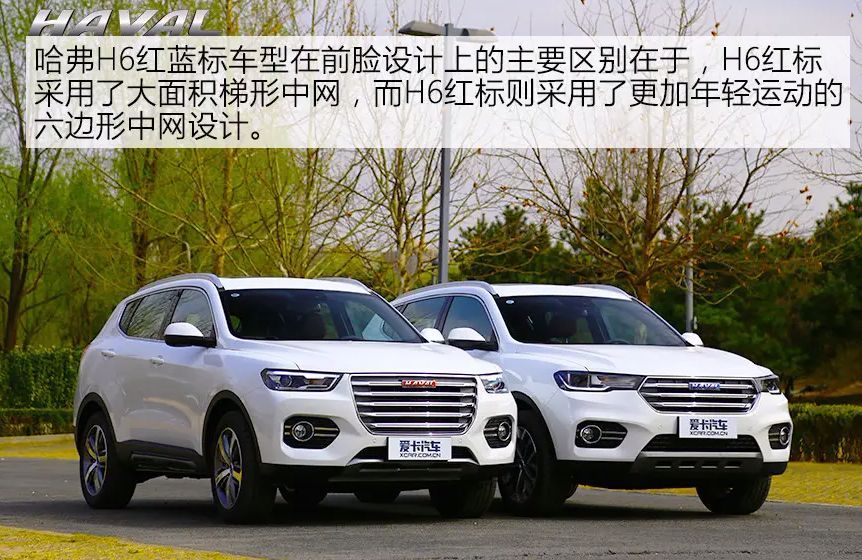 哈佛h6红标蓝标和黑标有什么区别吗-有驾 哈佛h6红标蓝标和黑标有什么区别吗-有驾