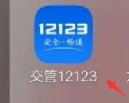 剛換的駕駛證在12123上查不到-有駕