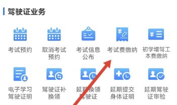 科目一预约成功后无缴费信息-有驾 科目一预约成功后无缴费信息-有驾