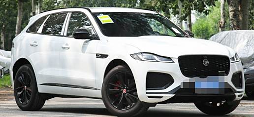 东风老虎标志的车子-有驾