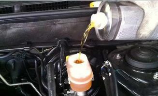 车子p灯亮是什么意思-有驾