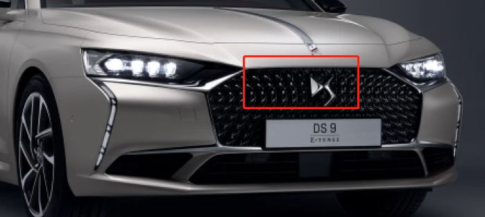 车标ds是什么牌子的车-有驾