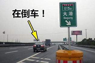高速倒车几天查不到就安全了-有驾 高速倒车几天查不到就安全了-有驾