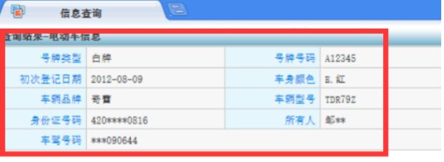 电动车牌照查询-有驾