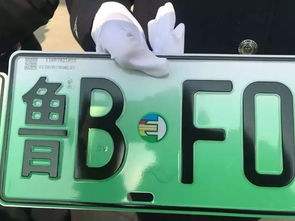 电动车牌照查询-有驾 电动车牌照查询-有驾