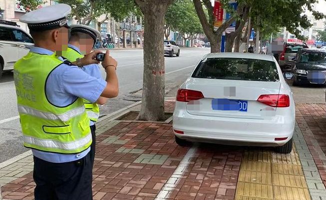违章大概多久能查到-有驾