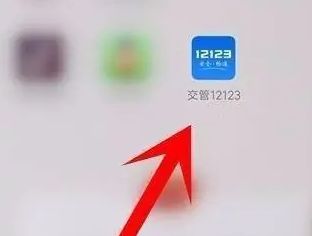 怎么查我的驾驶证信息-有驾 怎么查我的驾驶证信息-有驾