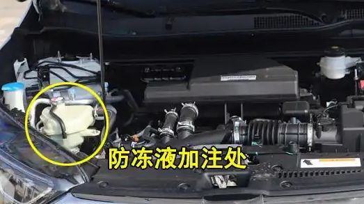 车辆防冻液少了对车有什么影响-有驾 车辆防冻液少了对车有什么影响-有驾