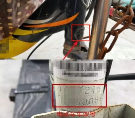 台铃电动车车架号在什么地方-有驾