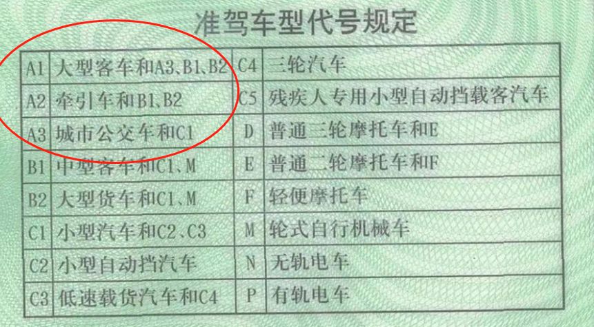 a6驾照是什么照-有驾 a6驾照是什么照-有驾