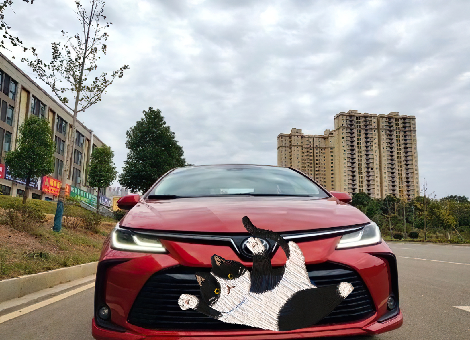 卡罗拉:视频剪辑必备,外观时尚,倒车影像清晰,空间有限.