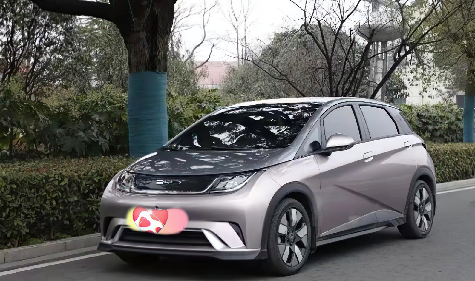 本命年送自己大玩具,买车攒钱买比亚迪海豚,续航实在,车速噪音大.